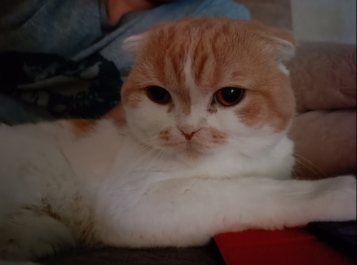    :    , , ,  , ,  ,   , 
