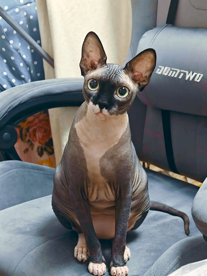 ���� ����� ���������� � � ������ ��� ������������� ������