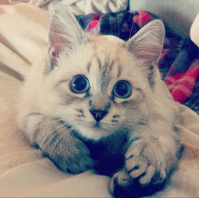 ��� ������ ���������� ����� ^^,