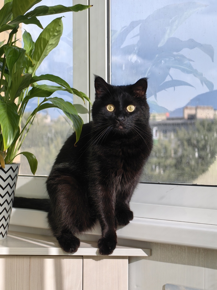 (пожалуй, единственное фото как "на паспорт")