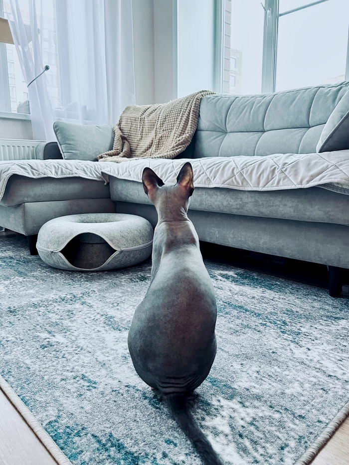 ������������� ���� ���� ��������� �������� ��������� ��� ����