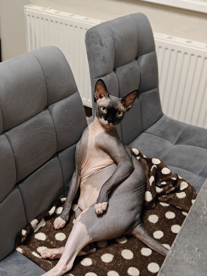 ����� ������ ������� ����������, �� ������� ������ �����������)