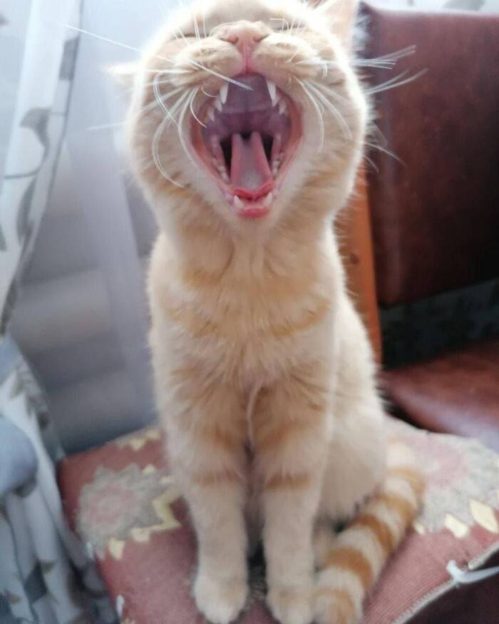 Любит петь, особенно в душе