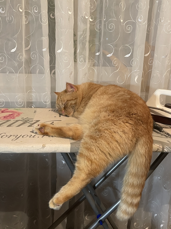 Спит где ему удобно и если неудобно, то все равно спит