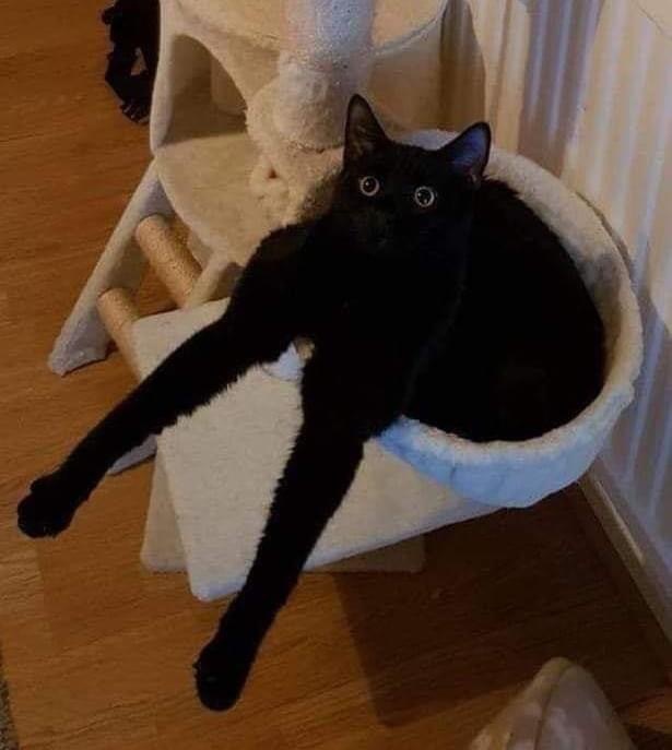  , 