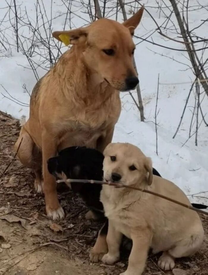 ������� ������ ����� "��������������" ������ �������