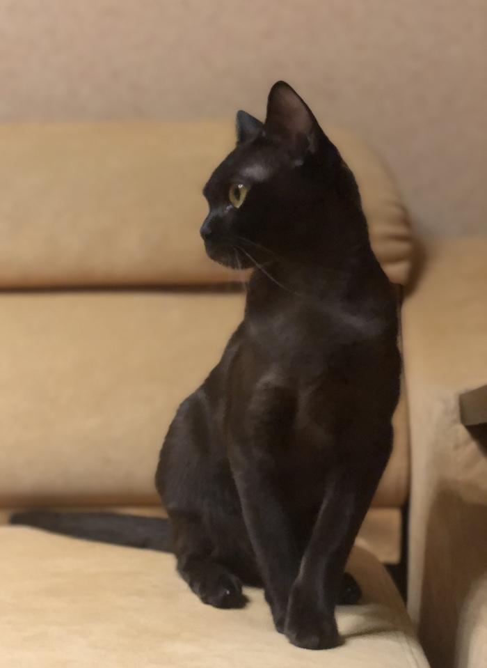 ����� �� ���� ��������: ������ ��� ������