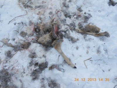 ���� ����� �� ����� ���� �� ����