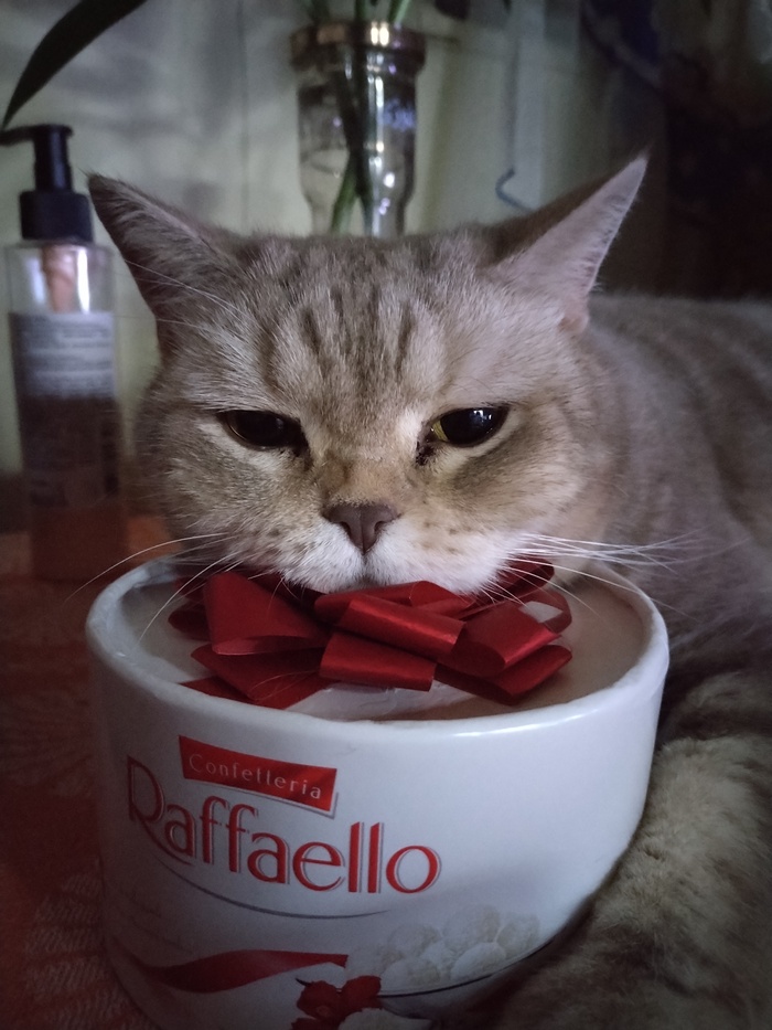 Чери, Черичка, Крыса, Кошка, Кошь, Шипучка