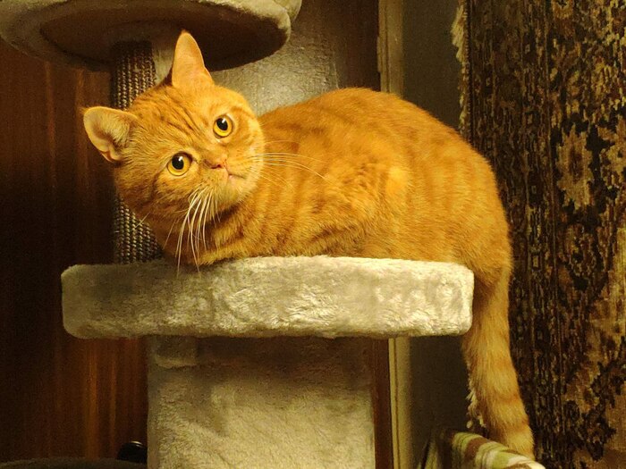 ����� �� ���� ��������: ������ ��� ������