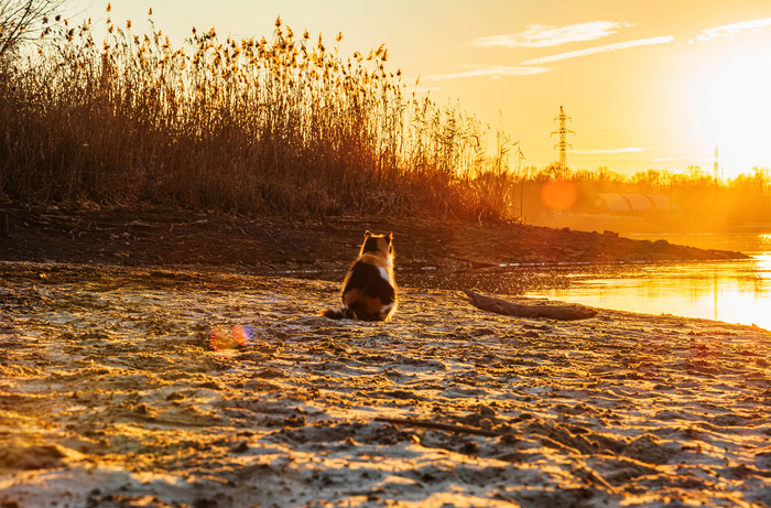 Провожая закат