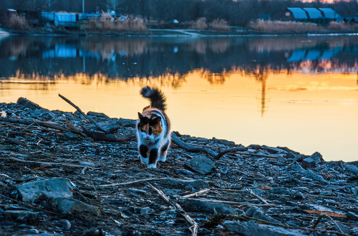 Будут плохие фото, ты пожалеешь )))