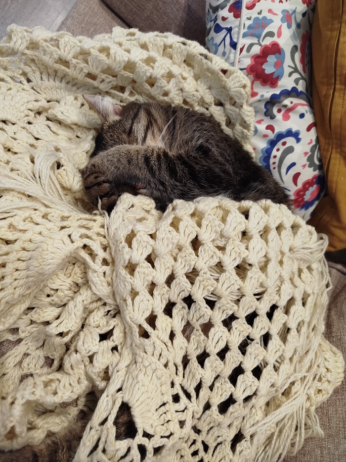 Желательно в шали или пледике