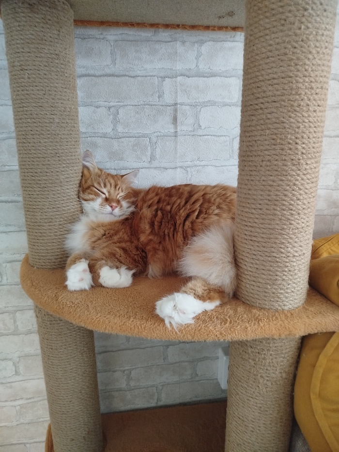 Готов принять любую форму