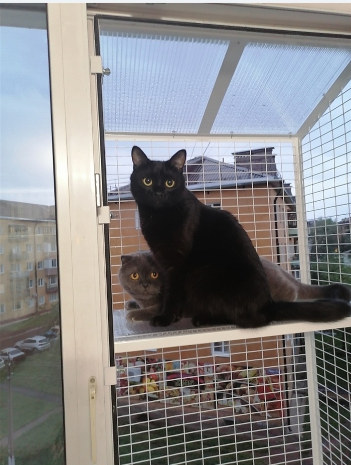 ����� �� ������