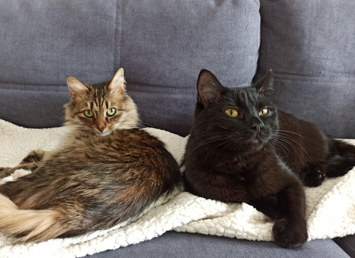 Да, и смотрят на тебя, как на смерда