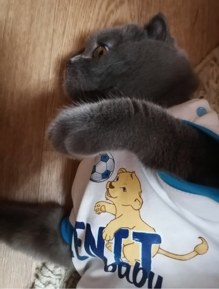 ������ �� "�����". ��� ��� � �������� �� ������������� �������� ��� �������, �������� ����� �������. ��� ������� ��� � ������� - ��� ������ 2� ��� :) 