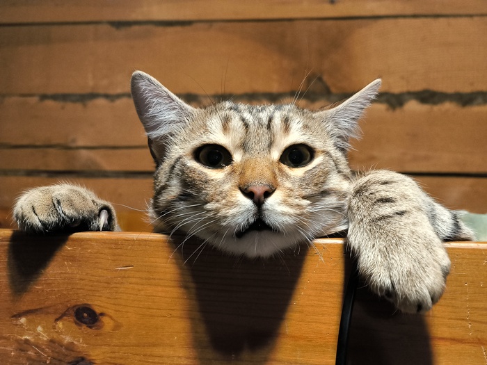 ����� �� ���� ��������: ������ ��� ������