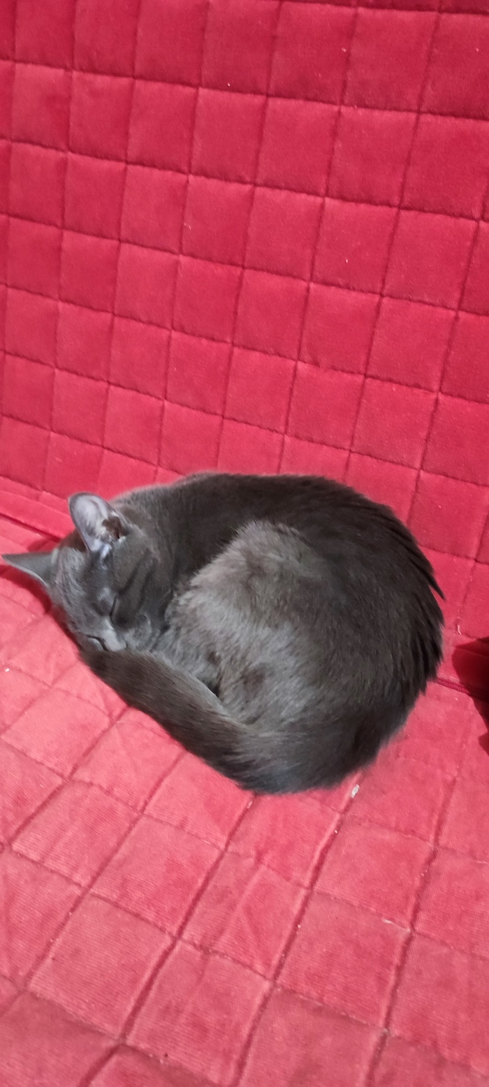    :    ,  , ,   , ,  