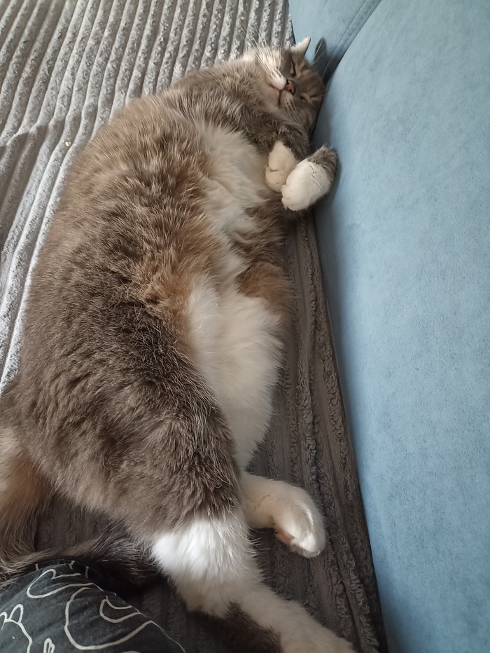 ����� �� ���� ��������: ������ ��� ������