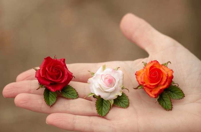  -  🌹