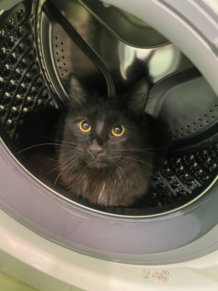 Таких не берут в космонавты