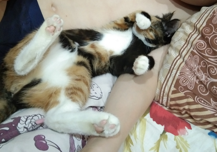    :    , , ,  , ,  ,   , 