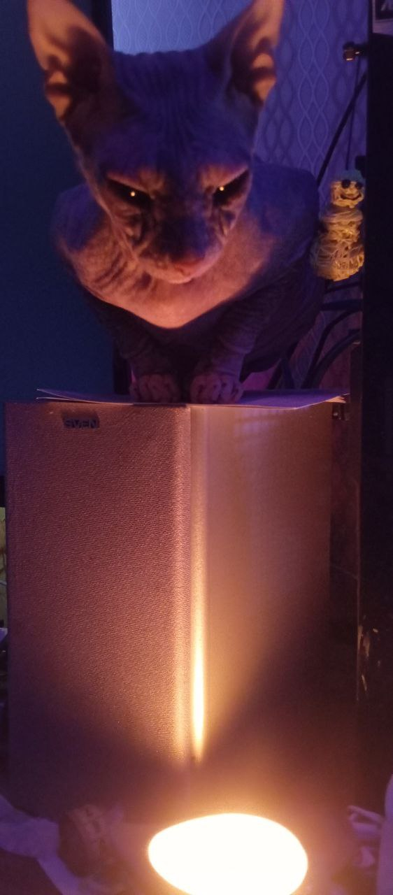 Маленький демон Шани. 7 годиков.