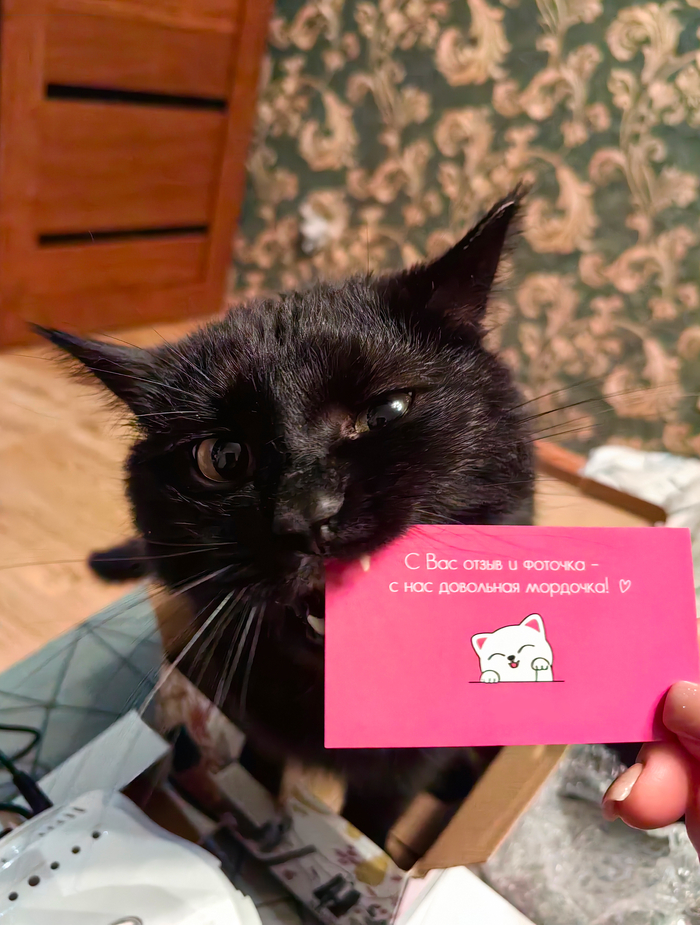 (я сама харизма)