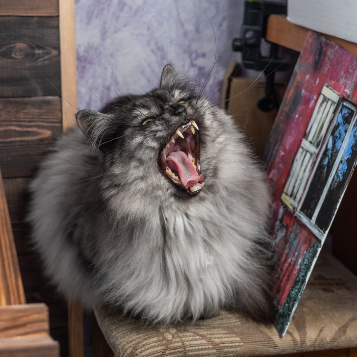 Раззявил щячло. Заправляйте рыбов.