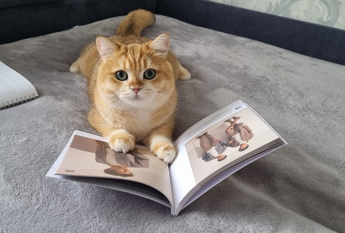    :    , , ,  , ,  