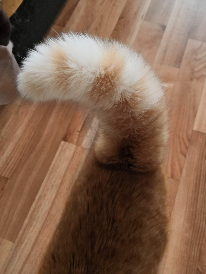    :    , , ,  , ,  ,   