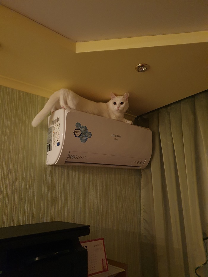    :    , , ,  , ,  ,   