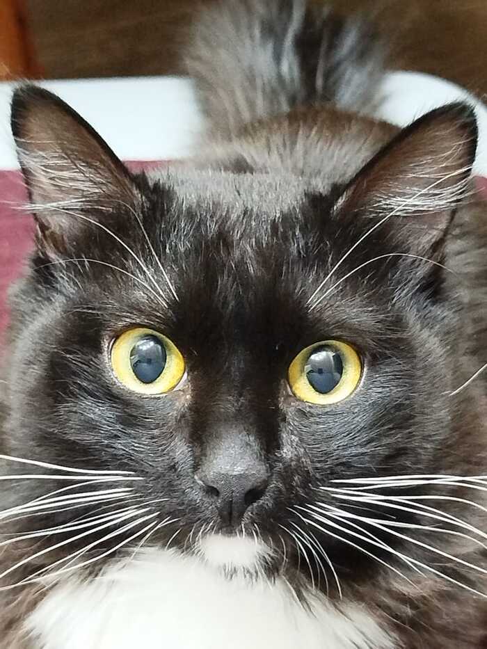    :    , , ,  , ,  ,   , 