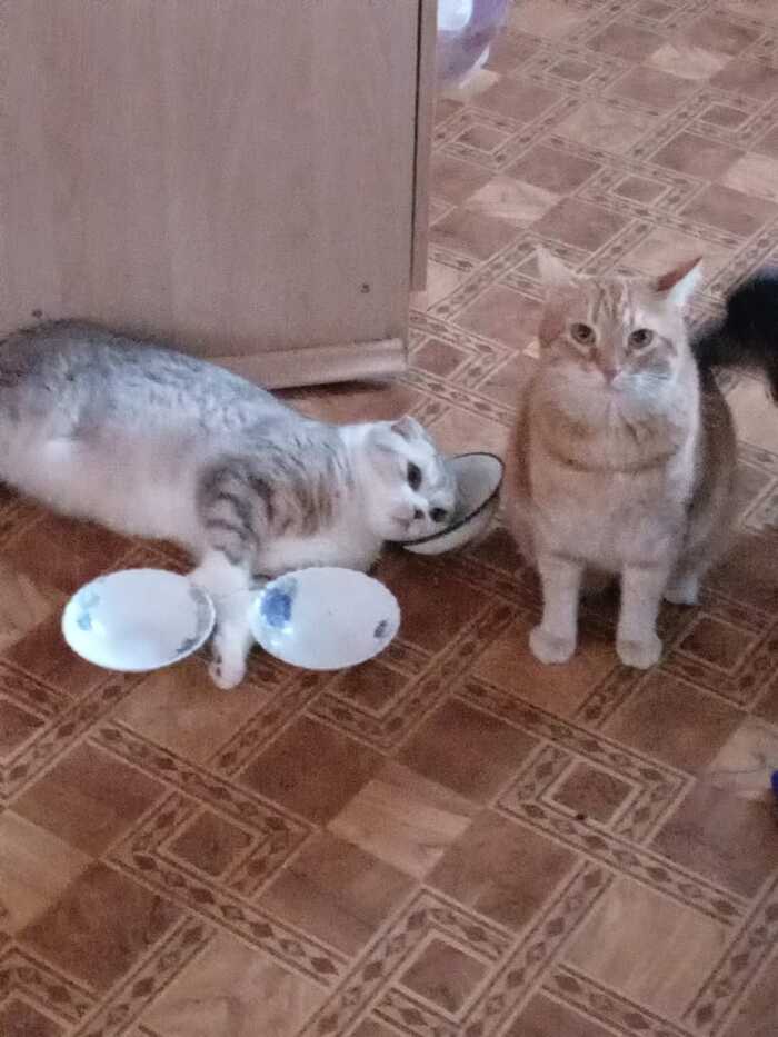    :    , , ,  , ,  ,   , 