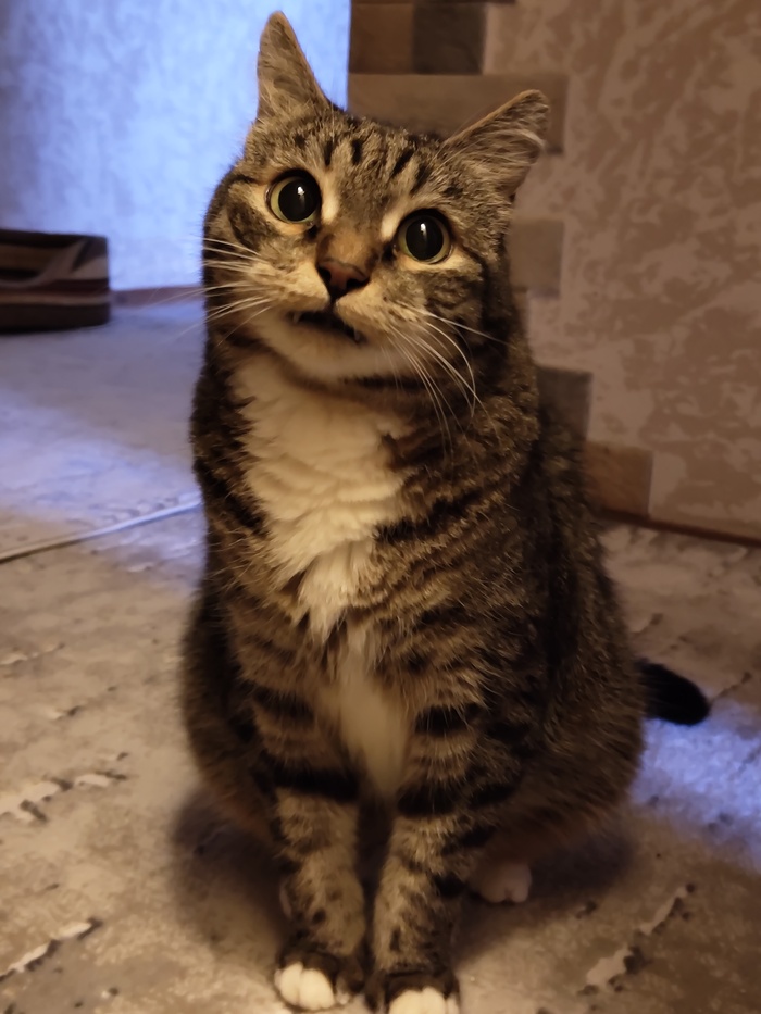  ) ,  , , , , ,  , 