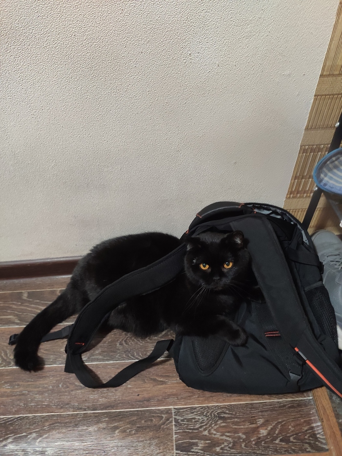 Первое сентября!