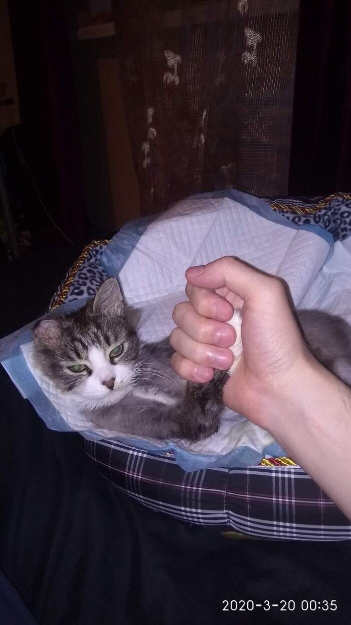    :    , , ,  , ,  ,   , 
