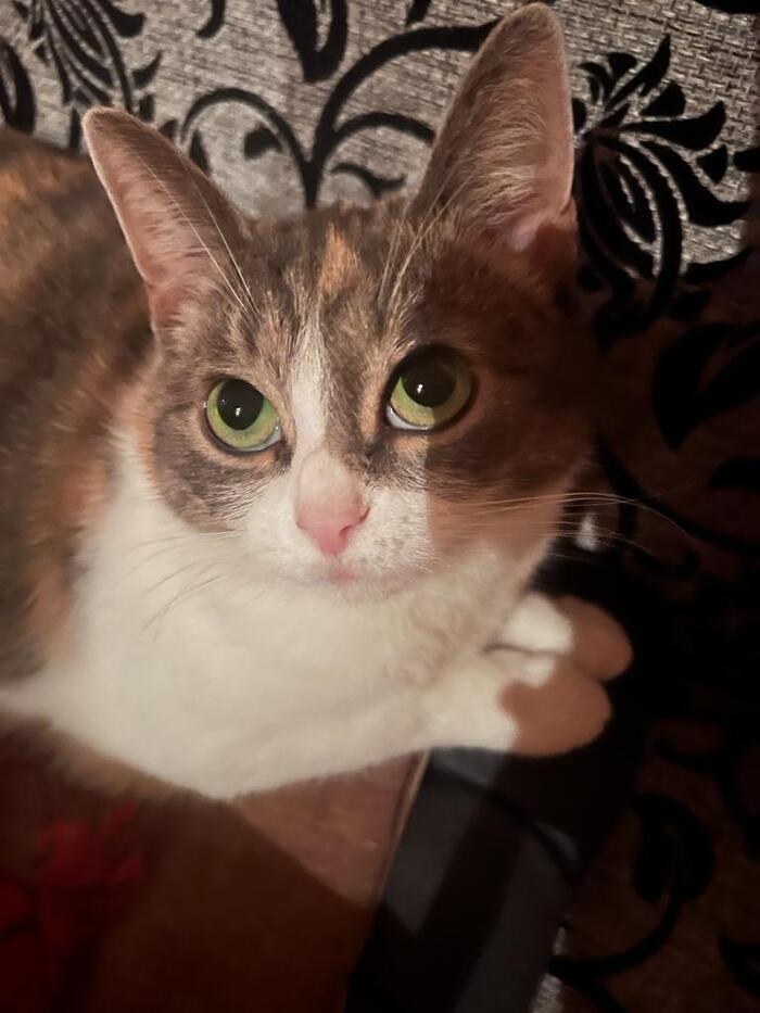 ����� �� ���� ��������: ������ ��� ������