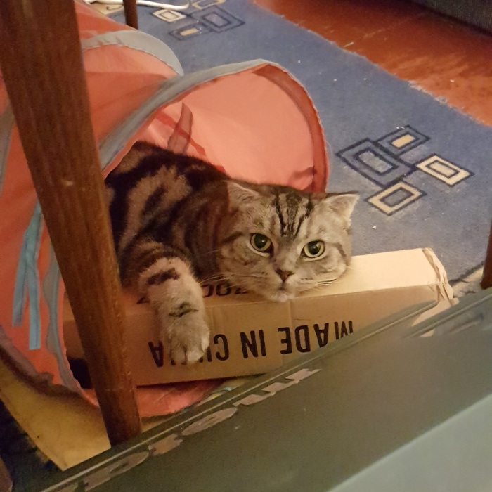    :    , , ,  , ,  ,  , ,  ,  ,   , 
