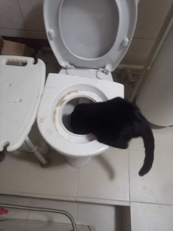    :    , , ,  , ,  ,   , 
