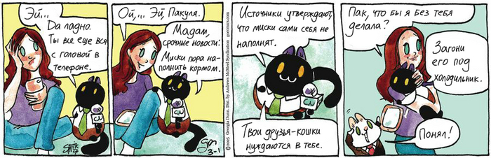 Котейкины Новости от 01.03.2025