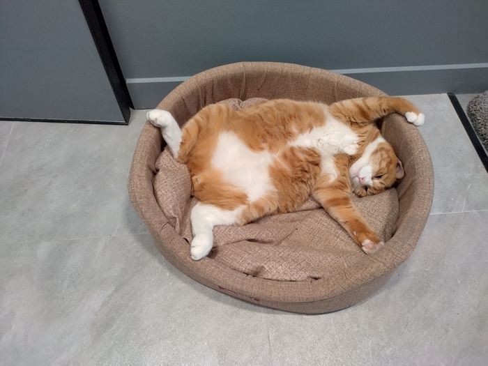 Просто Марс растёкся