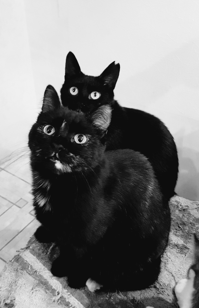    :    , , ,  , ,  , ,   