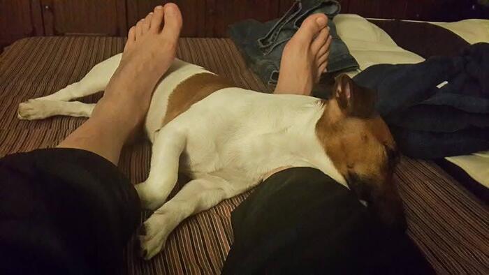 ����� � ��� � ��������.