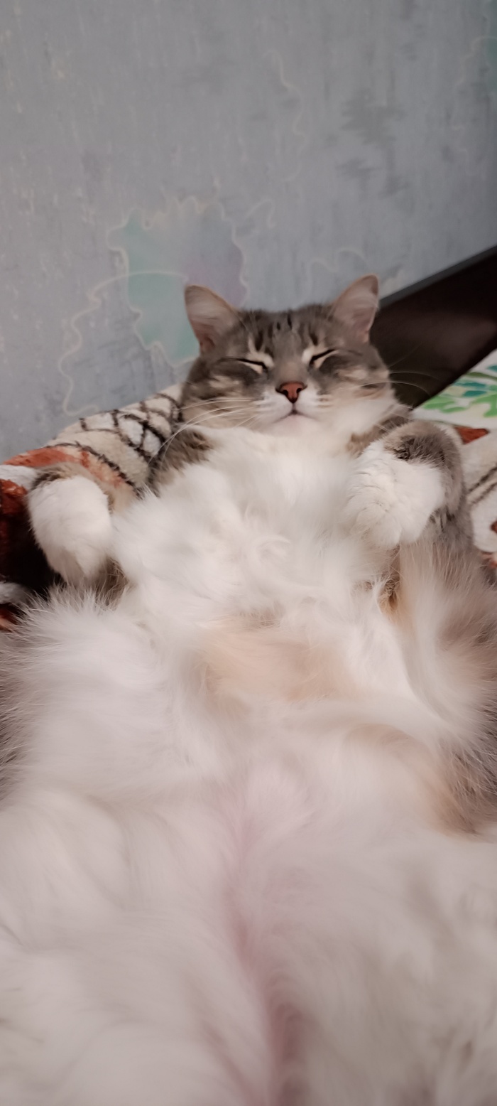    :    , , ,  , ,  ,   , 