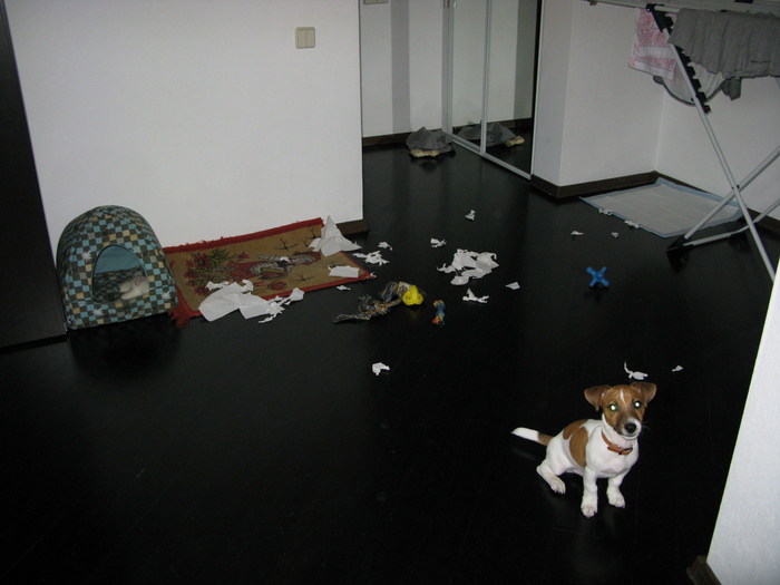 ��� �������� ����� ������� � � �������� ������ �� ���������� ���� �� ���������. ��� � �������� 5-6 ������� �� ����.