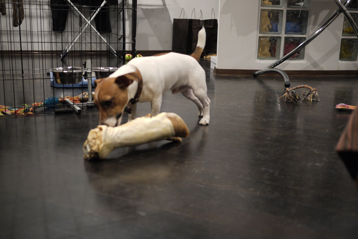 ���� �� ���������. ������� ������ ��������� � ����. � �� ������� ���� ��� ������ �������� - ��� ��� ���)