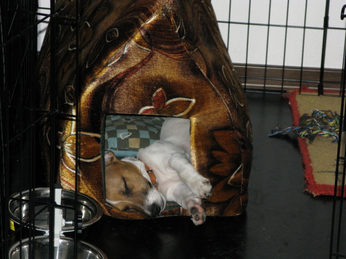 ����������� � ����� �� ��� �������.