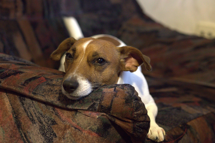 � ��� ��� �������� �� �������.